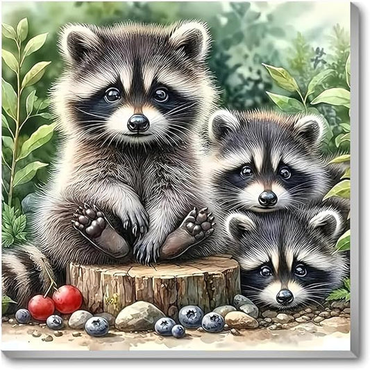 Paint by Numbers Kit for Adults,Raccoon DIY Paint by Number With Frame | Paint by Number for Beginner,Adult Paint by Number,HD Color Canvas,DIY Tool Kits,Stress Relief Craft,Great Gift,10X10 inch