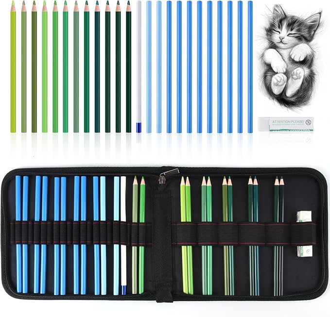 Professional Drawing Set,12 Colored Pencils,12 Graphite Pencils,Eraser,Case | Portable Travel Colored Pencil Case,Sketching Shading Blending Art Supplies,Gifts for Artists Adults Beginners.Green Black