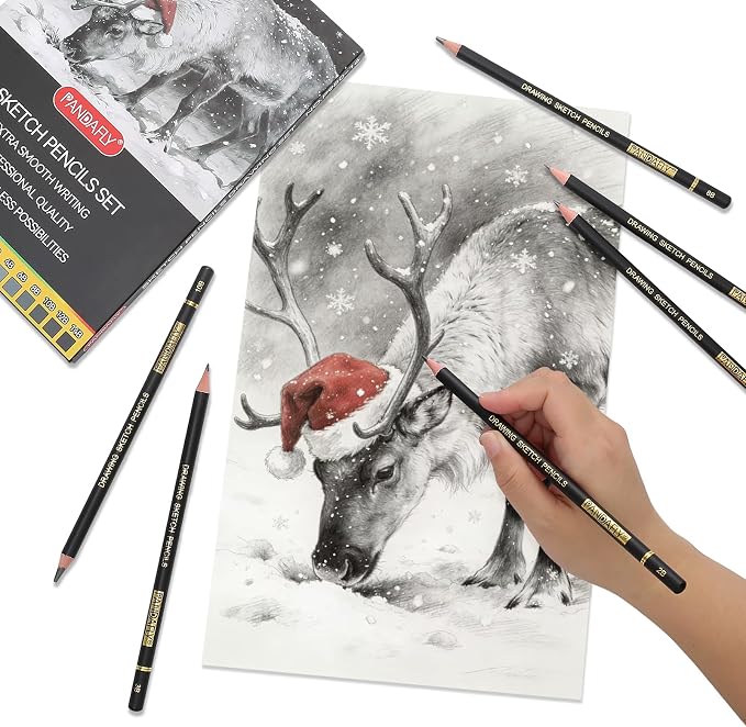 PANDAFLY Drawing Sketch Pencil Set, 16 Piece, 4H to 14B Graphite Pencils | Includes Erasers and Pencil Sharpener, Pro Art Pencil Kit for Drawing, Sketching, Shading, Ideal for Artists and Beginners