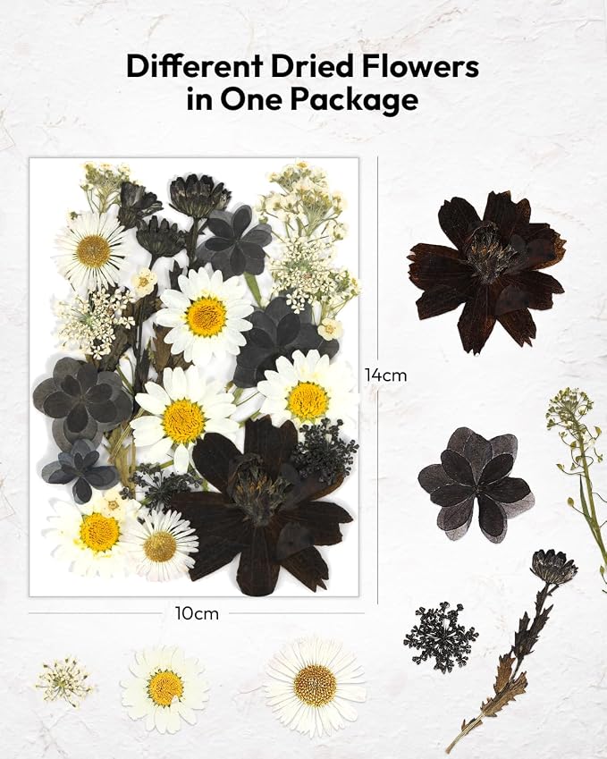 Dried Flowers, Resiners 100Pcs Pressed Flowers for Craft Black Real Natural Dried Flowers Dry Leaves Kit for DIY Making Crafts Resin Soap Candle Scrapbook Supplies Card Making Jewelry