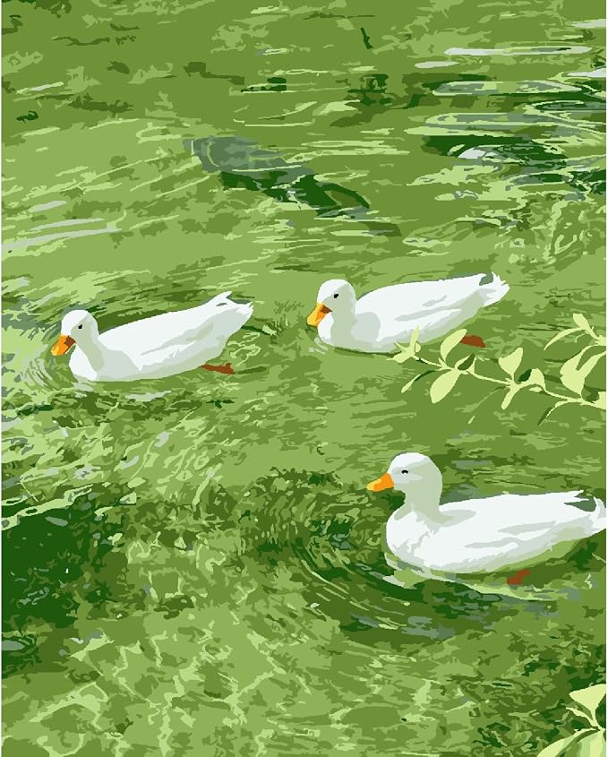 ZRIZQ Paint by Numbers Kit for Adults Beginner,Duck Summer,16x20 | Full set with rich paints,wooden brushes,rolled canvas.Calming,screen-free pastime.Beginner friendly.Just open and paint.