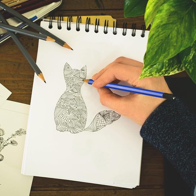PATIKIL Watercolor Pencil, 12Pcs Water Soluble Pencils for Blending, Coloring, Sketch Drawing, Painting, Yellow
