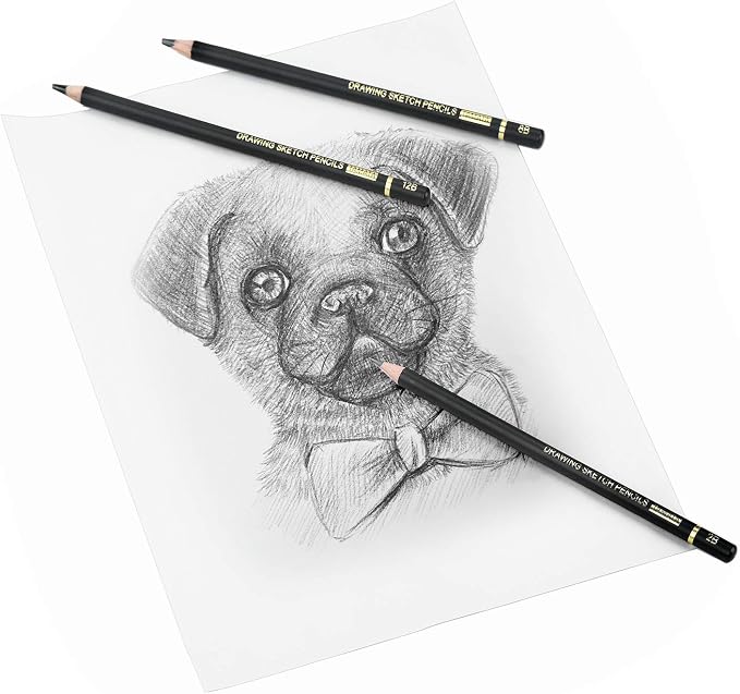RVOGJP TAMATA Professional Drawing Sketching Pencil Set - 12 Pieces Art Graphite Pencils(12B - 4H), Ideal for Drawing Art, Sketching, Shading, for Beginners & Pro Artists