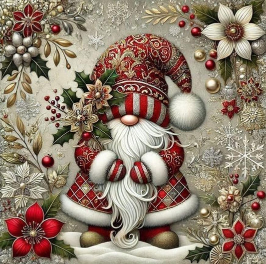 DYAIYYMQ Gnome Stamped Cross Stitch Kit for Adults 13.7x13.7 inches