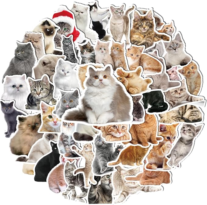 100 Pcs Cat Stickers for Water Bottles Laptop Guitar Suitcase