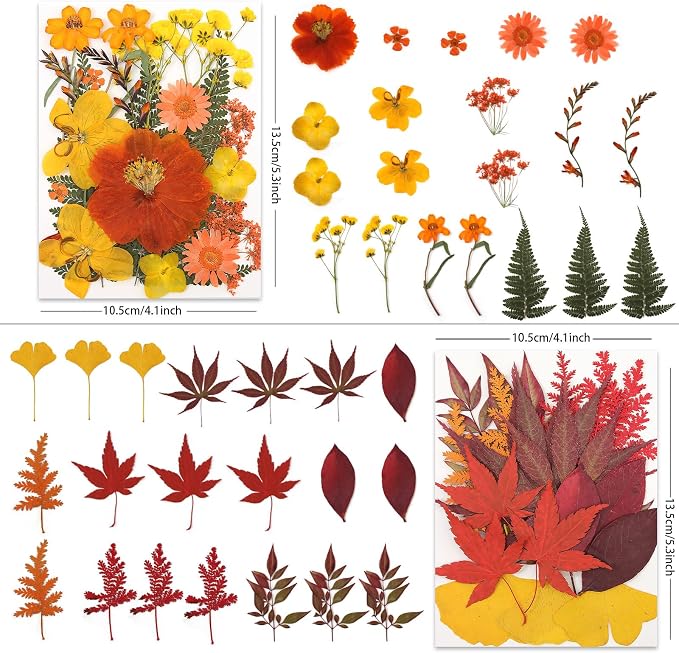 LUXEEASE 80P Autumn Tone Dried Pressed Flowers