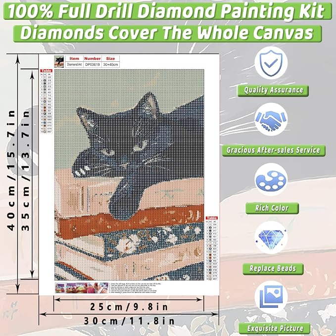 Black Cat Diamond Art Kits for Adults Diamond Painting Kit for Beginner