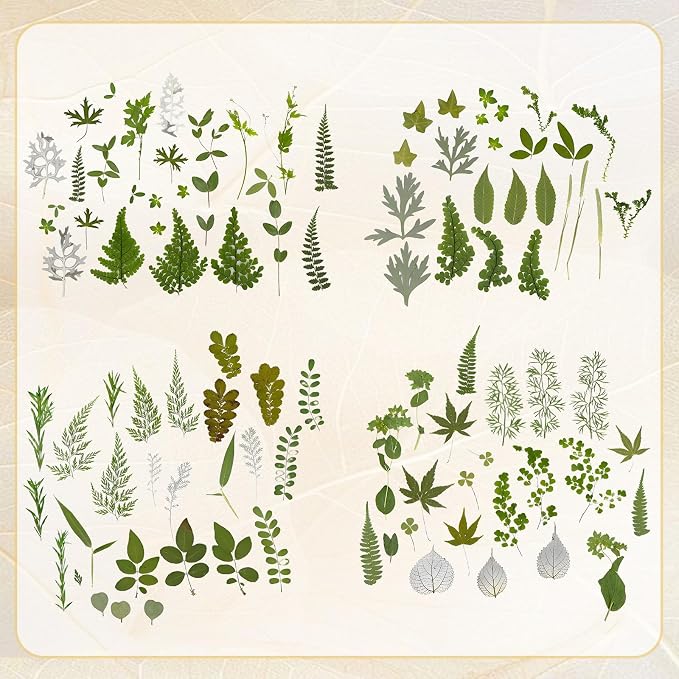 Augshy Pressed Dried Leaves Flowers, 100 Pcs Green Dried Flowers Leaves for Resin Molds Assorted Real Pressed Flowers for Crafts DIY Jewelry Molds, Scrapbooking, Candle