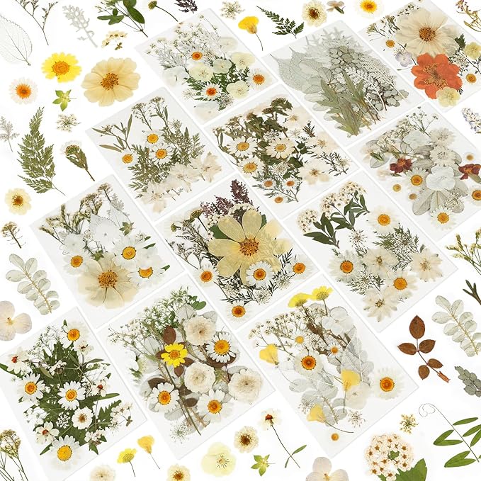 NESCCI 247 Pcs Dried Flowers for Crafts,Real Natural Dried Pressed Flowers in Soft Yellow & White Tones for Resin,Used for Scrapbooking DIY Art Crafts Candle Soap Making Nails Décor