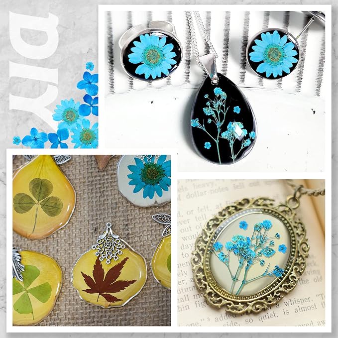 Nuanchu Natural Dried Pressed Flowers Bulk for Craft Resin DIY