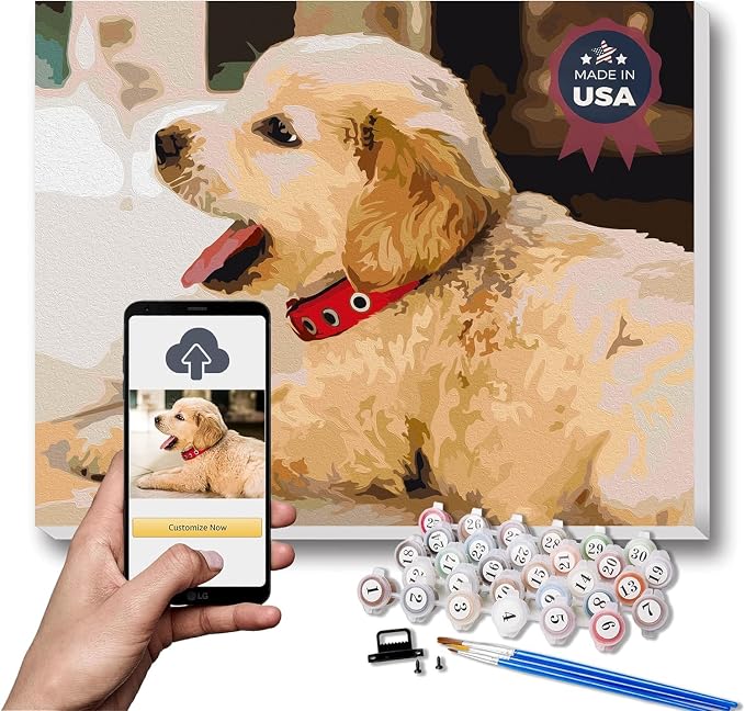 Texture of Dreams Personalized Paint by Numbers Kit for Adults, Acrylic Painting Oil Painting on Framed & Stretched Canvas, Customized DIY Paint by Numbers Set Painting for Beginners (12" x 16")