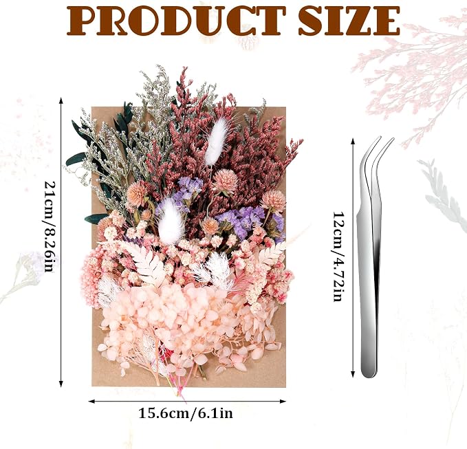 Real Dried Flowers, Natural Dry Flowers Mixed Natural Pressed Flowers Flores Secas Dried Florals for Crafts,Resin,Candle Making (Multicolor 2)