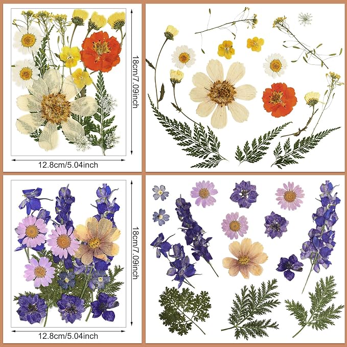 Nuanchu Real Natural Dried Pressed Flowers Greenery for Craft Resin Mold