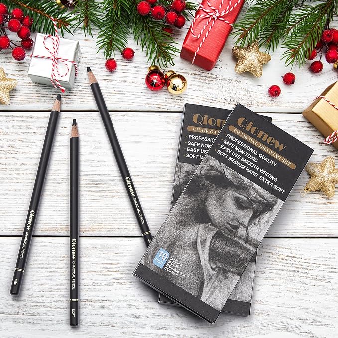 Qionew Professional Soft Medium and Hard Charcoal Pencils Drawing Set 10Pcs | Super Soft, Soft, Medium & Hard Charcoal Pencils for Drawing, Sketching, Shading, Beginners & Artists