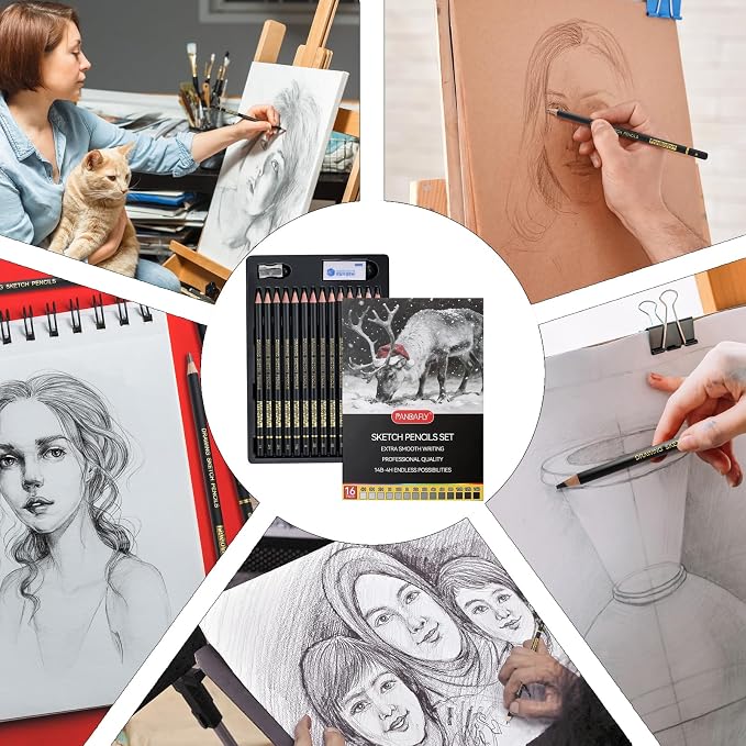 PANDAFLY Drawing Sketch Pencil Set, 16 Piece, 4H to 14B Graphite Pencils | Includes Erasers and Pencil Sharpener, Pro Art Pencil Kit for Drawing, Sketching, Shading, Ideal for Artists and Beginners