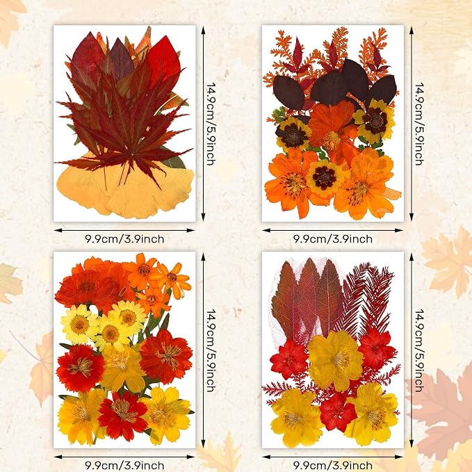 Augshy Fall Dried Pressed Flowers and Leaves for Autumn Crafts Resin DIY