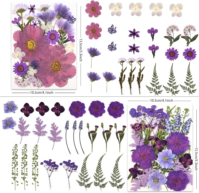 LUXEEASE 100P Purple Dried Pressed Flowers