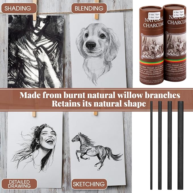 Gueevin 60 Pcs Soft Willow Charcoal Sticks Drawing,2-4mm，4-5mm，5-7mm，7-9mm | For Artists Beginners Students, Vine Charcoal Bulk for Sketching Shading Fine Art, Assorted Sizes, Back to School Gifts