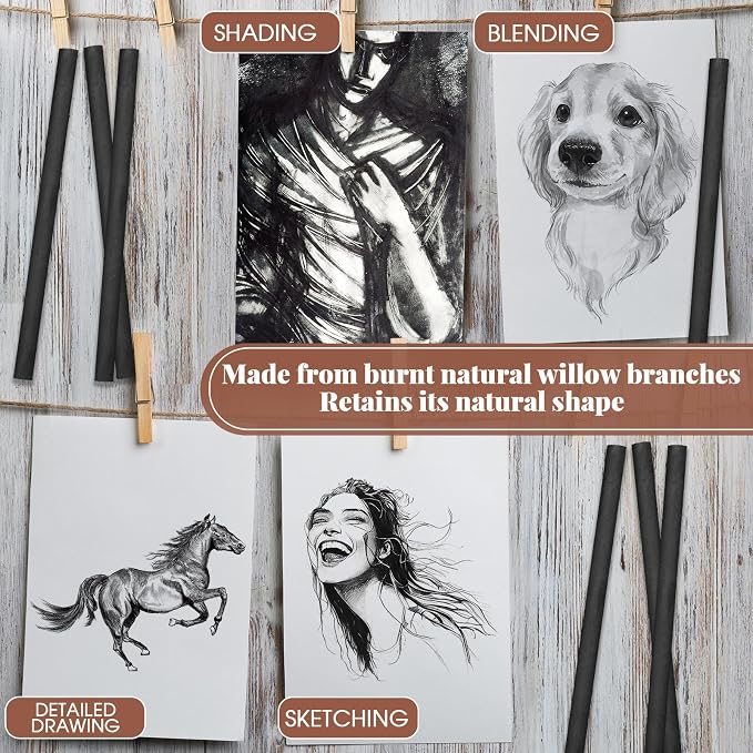 Gueevin 25 Pcs Soft Willow Charcoal Sticks Drawing,7-9mm | For Artists Beginners Students, Vine Charcoal Bulk for Sketching Shading Fine Art, Assorted Sizes, Back to School Gifts