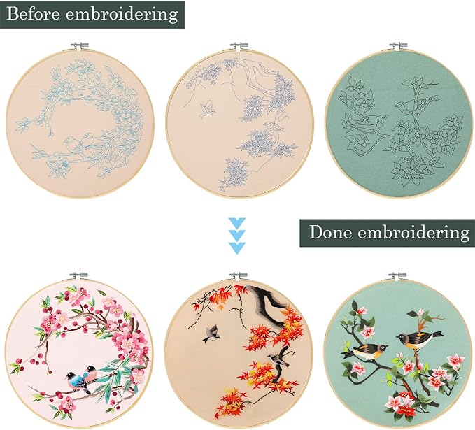 Santune 3 Pack Embroidery Kit for Adults Cross Stitch Kits for Beginners with Bird Patterns,3 Instructions,1 Hoop,Threads and 6 Needles,Hand Needlepoint Sets for Women
