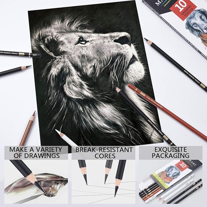 MARKART 10 Pack Professional Charcoal Pencils for Drawing | Black & White Charcoal Pencils for Sketching, Shading, Blending, Portrait, Pastel Chalk Pencils for Beginners & Artists