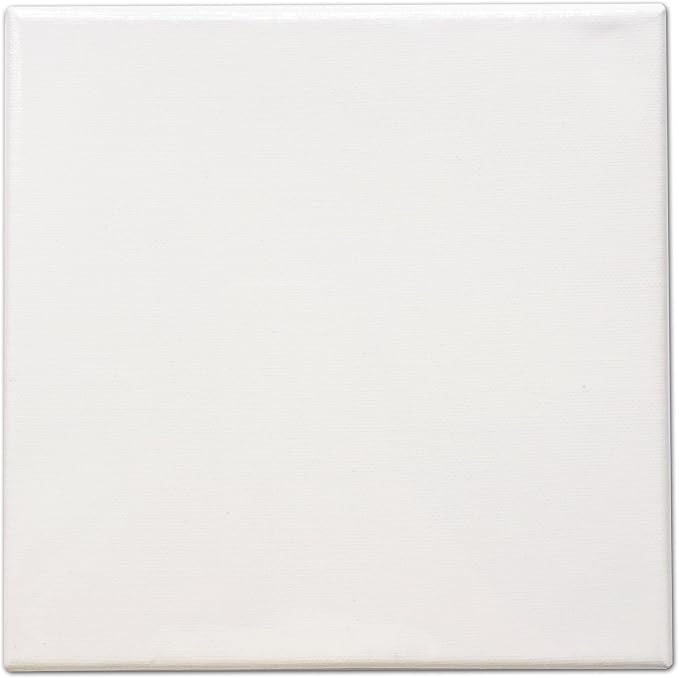 LWR CRAFTS Stretched Canvas 8" X 8" Pack of 6