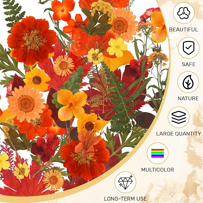 Augshy Fall Dried Pressed Flowers and Leaves for Autumn Crafts Resin DIY
