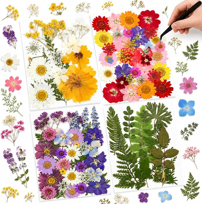 Nuanchu Dried Pressed Flowers for Resin,Classic Style,Bright Colors