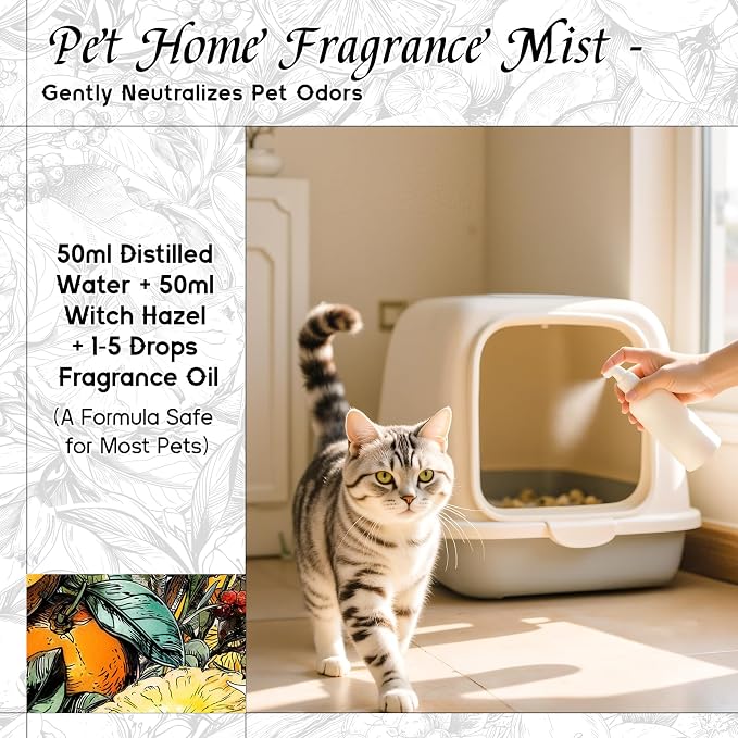 HIQILI Pomelo Paradise Fragrance Oil for Candle & Soap Making, Inspired by Alr-Cologne P.Paradis, Fresh Scents for Home Diffuser, Scenting Skin & Body, Bathroom - 1.0 Fl Oz(Pack of 1)