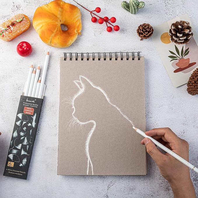 Brusarth White Charcoal Pencils Drawing Set, Professional 6-Piece Sketch, Highlight, Shading, Blending Set for Beginners & Artists