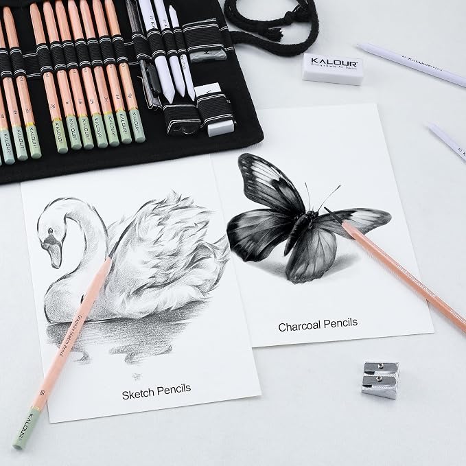 KALOUR 29 Pro Sketching Drawing Pencils Set with Roll-Up Nylon Case – 14 Graphite Pencils (14B–5H), Charcoal Pencils, Erasers, Sharpener & Stumps – Complete Art Kit for Artists & Beginner