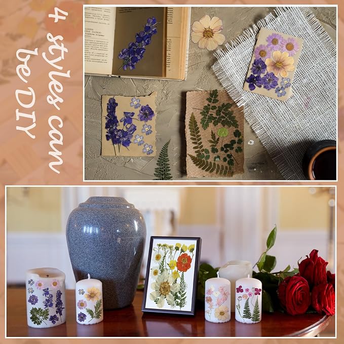 Nuanchu Real Natural Dried Pressed Flowers Greenery for Craft Resin Mold
