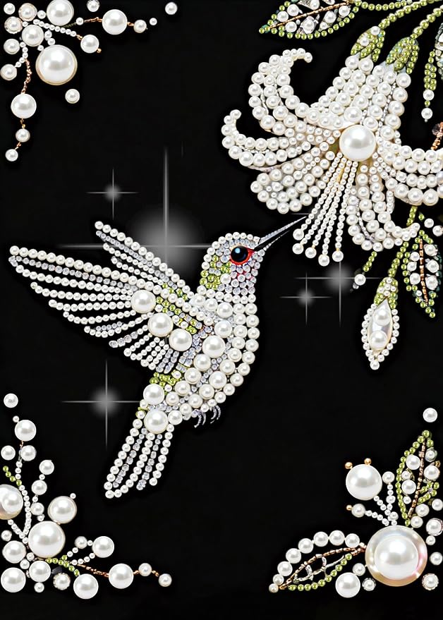 Morudeor Hummingbird Diamond Art Pearl Painting Kits for Adults,Special Shape Diamond Art Kits for Birds Flowers, DIY 3D Plastic Pearl Painting Kit for Home Decoration 12 × 16 inch