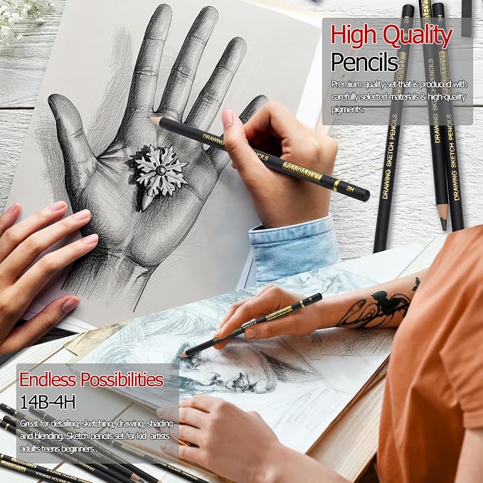 PANDAFLY Drawing Sketch Pencil Set, 16 Piece, 4H to 14B Graphite Pencils | Includes Erasers and Pencil Sharpener, Pro Art Pencil Kit for Drawing, Sketching, Shading, Ideal for Artists and Beginners