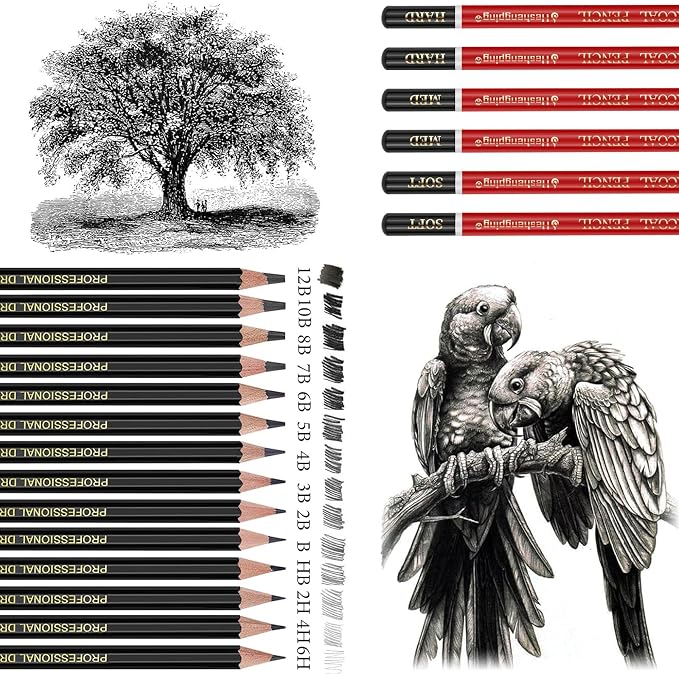 Drawing Pencils Sketch Pencil Art Supplies Set for Adults Beginners Professional Sketching Art Graphite Charcoal Blending Stump Pencils kit