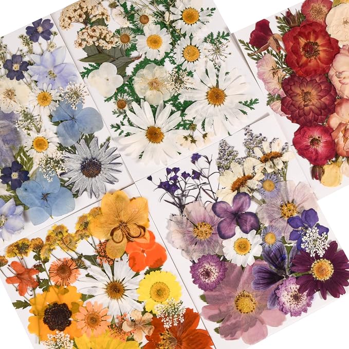 150PCS Pressed Dried Flowers Dry Leaves for DIY Crafts, Colorful