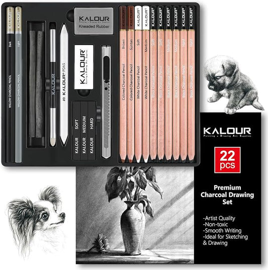 KALOUR PDAS 22pcs Charcoal Drawing Set, Professional Art Supplies, Black & White Charcoal Pencils for Drawing, Sketching, Shading, Blending, Artist Pencils for Beginners & Pro Artists