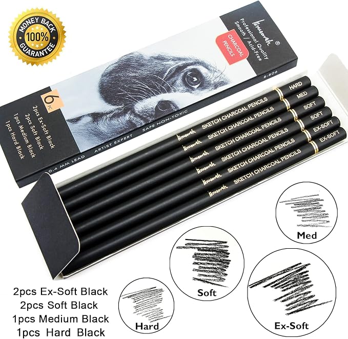 Brusarth Professional Charcoal Pencils Drawing Set - 6 Pieces Soft Medium and Hard Charcoal Pencils for Drawing, Sketching, Shading | Soft Medium and Hard Charcoal Pencils for Drawing, Sketching, Shading, Charcoal Pencils for Beginners & Artists
