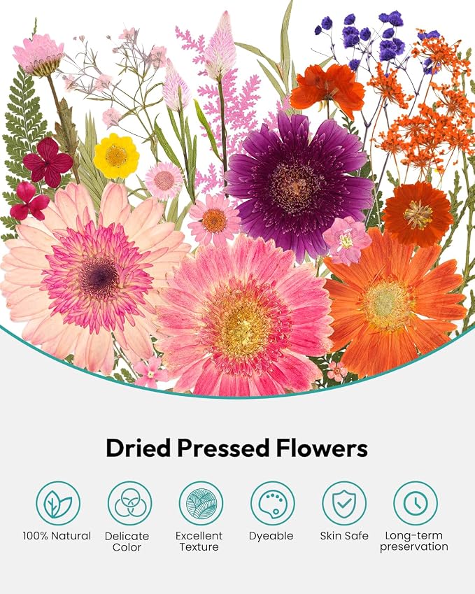 Dried Pressed Flowers, Resiners Dried Flowers for Candle Making Real Natural Pressed Flowers Dry Leaves Kit for DIY Crafts Resin Soap Scrapbook Card Making Jewelry (Gerbera Daisy 100pcs)