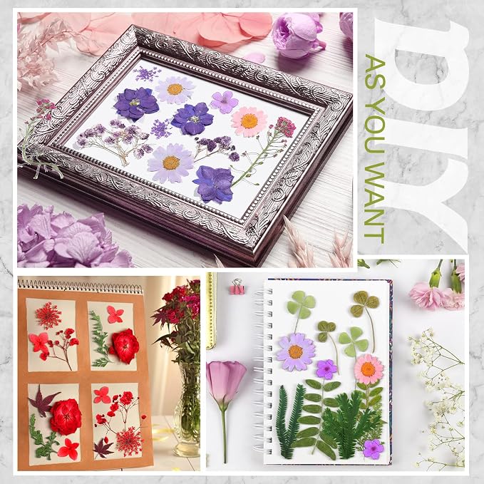 Nuanchu Natural Dried Pressed Flowers Bulk for Craft Resin DIY
