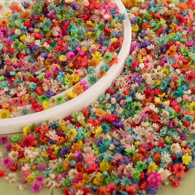 2200 PCS Bulk Tiny Dried Flowers for Resin - Small Dried Flowers for Crafts, Natural Real Mini Dried Pressed Flowers for Jewelry Earrings Epoxy Molds, Candles Making, Soap Making, Nail Art
