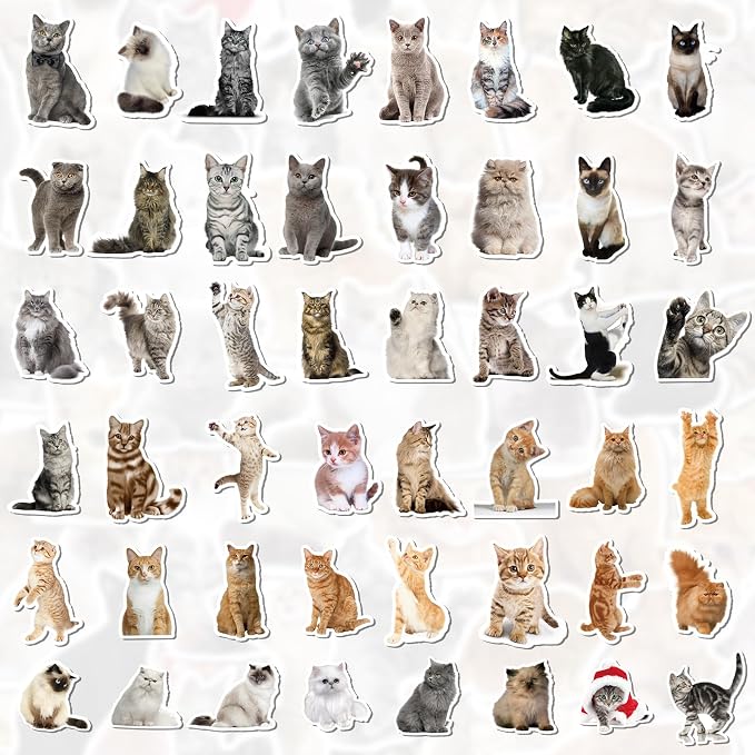 100 Pcs Cat Stickers for Water Bottles Laptop Guitar Suitcase
