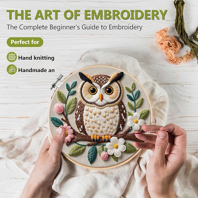 Santune Embroidery Kit for Beginners Needlepoint Cross Stitch Kits Adult Needle Point Sets with Owl Embroidery Patterns, Includes Step-By-Step Instructions and Accessories