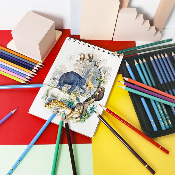 Smilo 120 Pack Colored Pencils for Adults Coloring Books with Carry Case