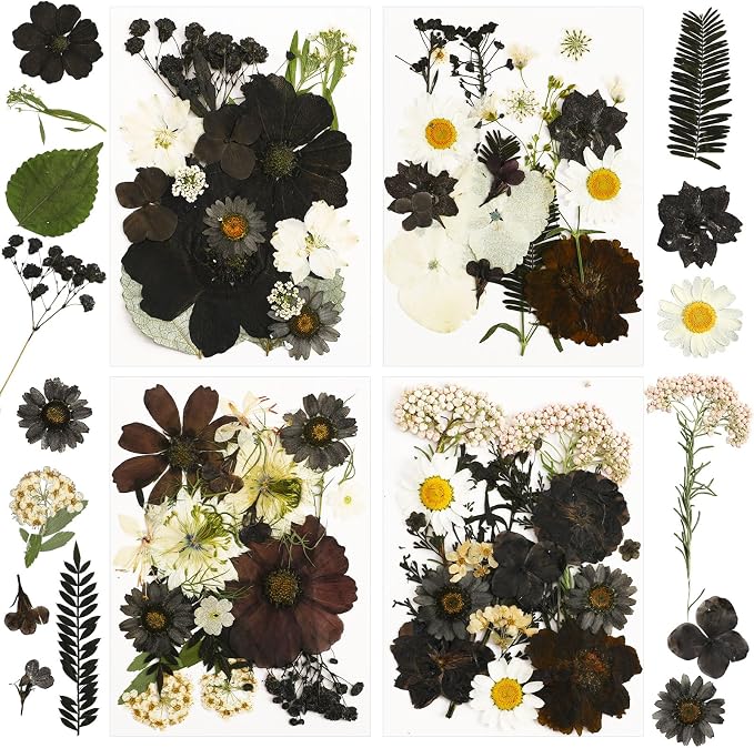 Augshy 72Pcs Black Pressed Flowers for Crafts Halloween Dried Flowers Bulk