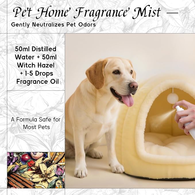 HIQILI Parisian Nocturne Fragrance Oil for Diffuser, Inspired by YL's M.on Paris, Candle & Soap & Perfume Balm Making, Sweet Notes, Long-Lasting Aroma - 5.07 Fl Oz (Pack of 1)