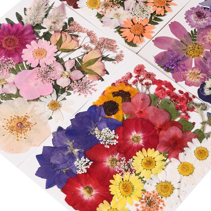 132 PCS Pressed Flowers for Resin Molds, Colorful-g | Real Dried Flower Leaves for Resin Jewelry Making Dry Flowers for Scrapbooking Crafts DIY Soap Candles Making Nails Décor
