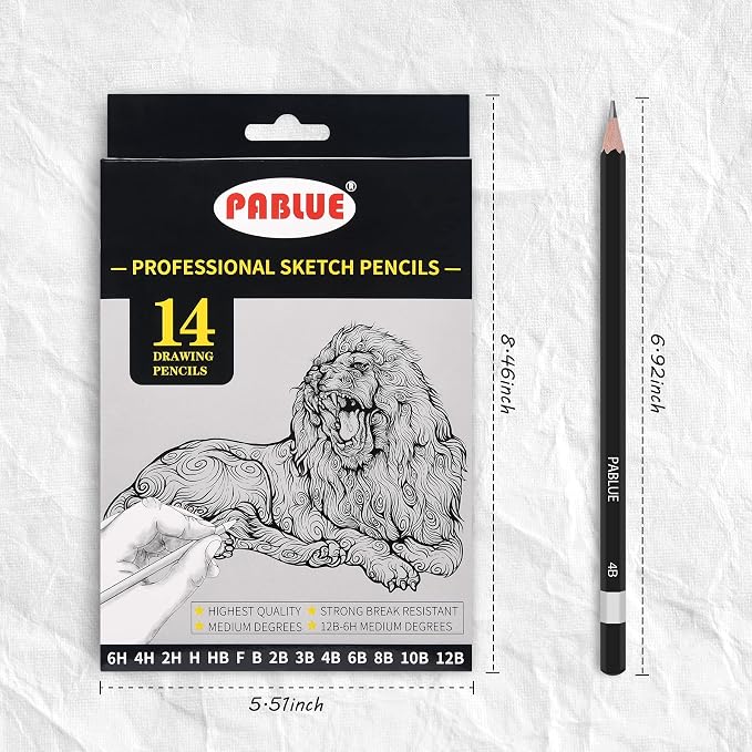 14Pcs Professional Graphite Sketch Pencils for Drawing (6H-12B) | Professional Triangular Graphite Pencils Set (6H,4H,2H,H,HB,F,B,2B,3B,4B,6B,8B,10B,12B) for All Drawing and Shading Needs