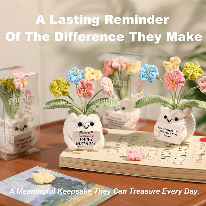 Forget-Me-Not Crochet Flower Potted Plant Gift | Difference You Make Gift, PET Display Box, Teacher Appreciation, Coworker, Employee, Thank You Gift, Handmade Desk Decor