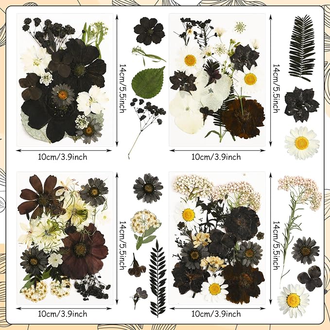 Augshy 72Pcs Black Pressed Flowers for Crafts Halloween Dried Flowers Bulk